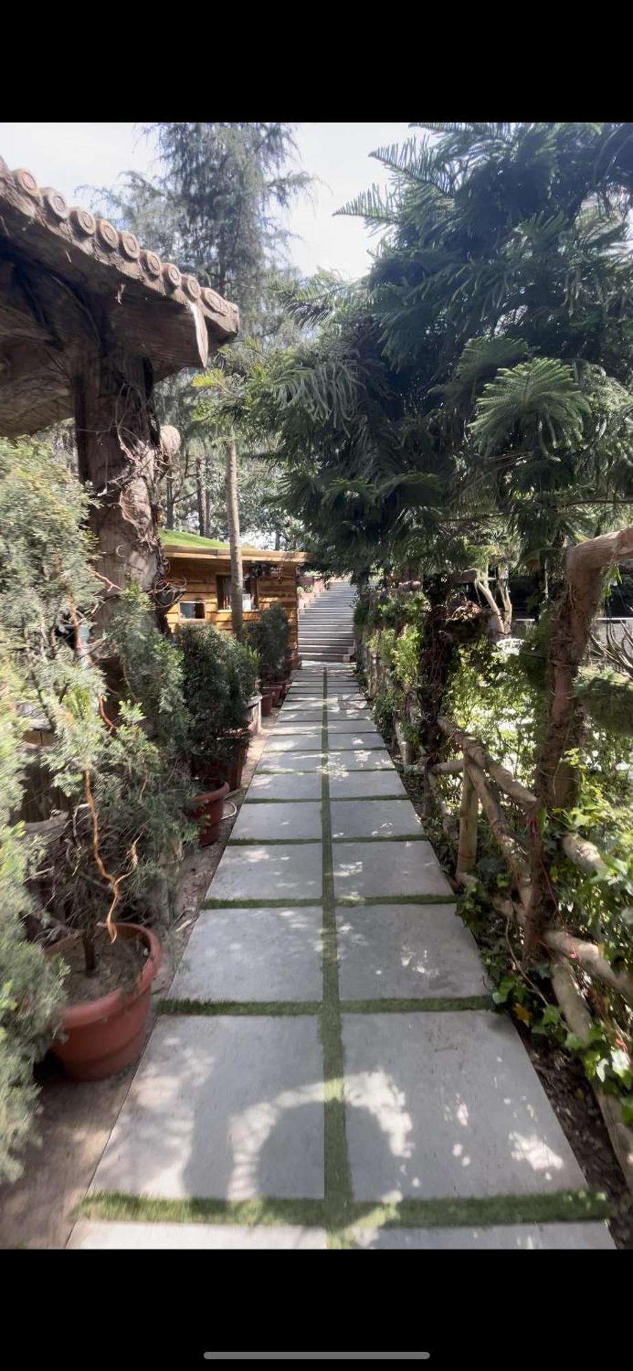Kasauli Castle Resort Exteriör bild