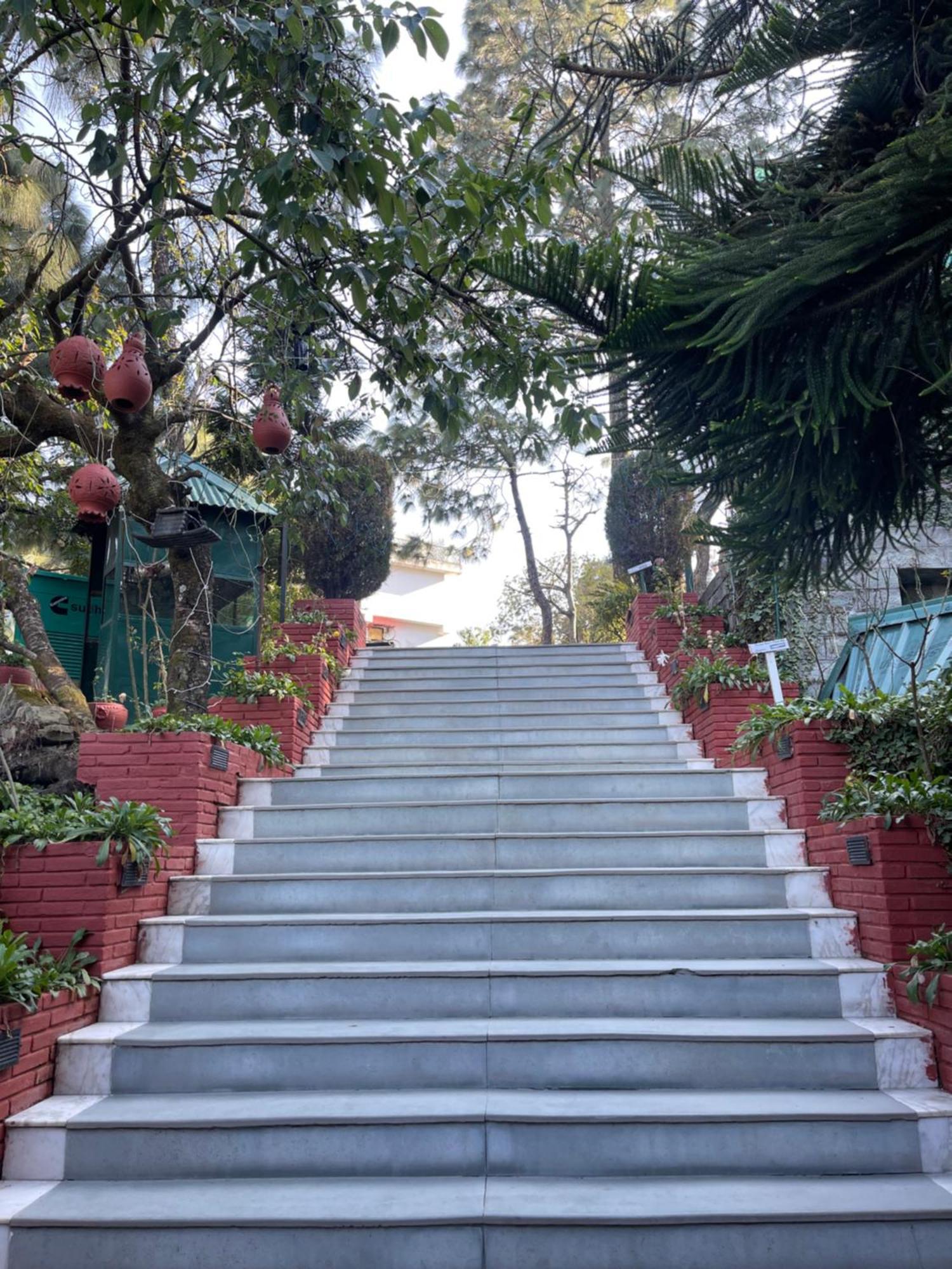 Kasauli Castle Resort Exteriör bild